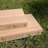 Bamboo Ply for Furnitures thumbnail image