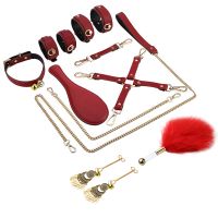 Black Leather With Red Color Restraints Kit For Couples thumbnail image