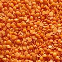 Red lentils for export From Canada thumbnail image