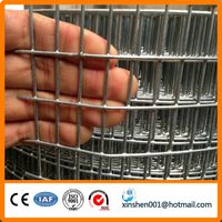 Galvanized welded wire mesh filter thumbnail image