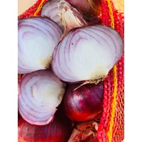 Egyptian Fresh Onion Supplier and Exporter thumbnail image