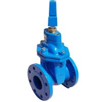 Double Flanged Resilient Seated Gate Valve thumbnail image