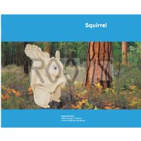 Squireel-3D wooden puzzles, wooden construction kit,3d wooden models, 3d puzzle thumbnail image