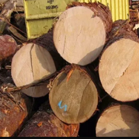 Walnut Veneer Logs and Saw Logs, 30+ cm Diameter thumbnail image