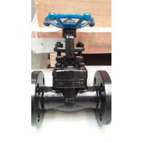 Forged steel flanged ends gate valve thumbnail image