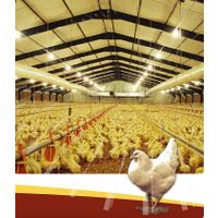 Prefabricated Steel Structure Poultry House/ Chicken House thumbnail image