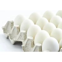 White Chicken Eggs thumbnail image