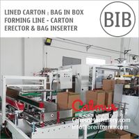Lined Carton Bag in Box Forming Line - Carton Erector and Bag Inserter thumbnail image