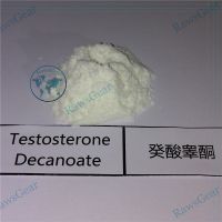 Testosterone Decanoate Raw Powder CAS 5721-91-5 thumbnail image