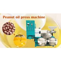 New screw type peanut oil press machine | groundnut oil making process | peanut oil extraction thumbnail image