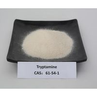Dimethyl Tryptamine CAS 61-54-1 free reship policy (Telegram: fantastic8product, Threema:JHDUS2RC) thumbnail image