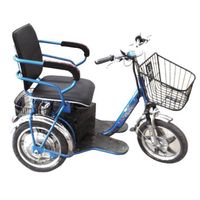 elf electric tricycle