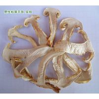 Natural dried matsutake slice mushroom newly dried thumbnail image
