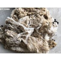 carpet grade raw greasy clipped wool for carpet yarn directly thumbnail image