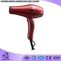 professional hair dryer RG 5600 thumbnail image