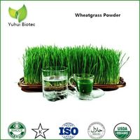 wheatgrass powder ,organic wheatgrass powder,wheat grass powder thumbnail image