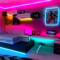 China Supplier Top 10 Best Selling LED Strip Lamp Cuttable APP Control LED Strips thumbnail image