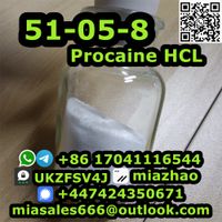 PROCAINE hydrochloride CAS 51-05-8 custom clearance best price with free sample thumbnail image