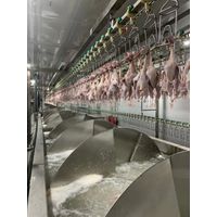 Duck Slaughter Production Line in China thumbnail image