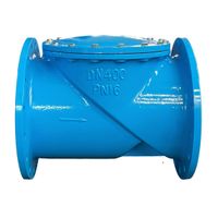 rubber disc check valve DN40-DN1200 from China thumbnail image