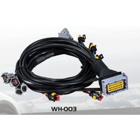 WIRING HARNESS FOR AUTOGAS SYSTEM thumbnail image