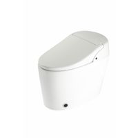 SMART TOILET (Dryer, Deodorant, Auto Flush, Auto Open and Close, +E-sterilizer, PREMIST, Foot valve) thumbnail image