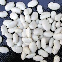 White Beans, White Kidney Beans, New Crop White Beans thumbnail image