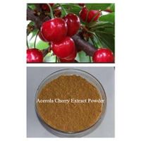 Acerola Cherry Extract Powder thumbnail image