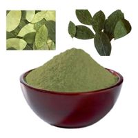 leaf Coca Powder Medicinal (Erythroxylum) from peru thumbnail image