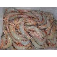 Fresh and frozen prawn,shrimp for sell thumbnail image