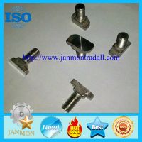 Stainless steel T bolt,T bolt,T bolts,Special T bolt,Special T bolts,Stainless steel bolt,stainless thumbnail image