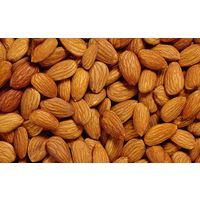 best quality grade ordinary almond whole sale supplier thumbnail image