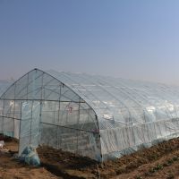 High Hoop Tunnel Polyethylene Film Single-span Greenhouse For Agriculture thumbnail image