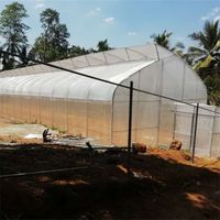 Galvanized Steel Pipe Plastic Film Covering High Tunnel Tropical Sawtooth Greenhouse Structure thumbnail image