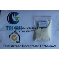 Safe Muscle Building Steroids / Testosterone Isocaproate For Male Sexual Dysfunction CAS 15262-86-9 thumbnail image