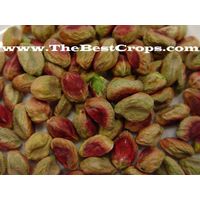 Top quality Pistachio in shell thumbnail image