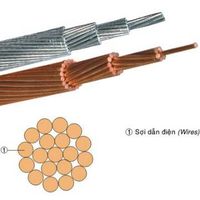 Concentric stranded overhead conductor thumbnail image