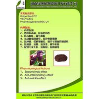 the biggest producer of   Grape Seed Extract in China thumbnail image