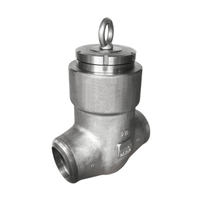 ASTM A182 F316 Swing Check Valve thumbnail image
