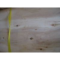eucalyptus core veneer thumbnail image
