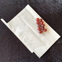 grape growing and protection paper bag in fruit planting thumbnail image