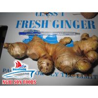 Vietnam Fresh Ginger (+84 90 5179759) thumbnail image