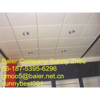 Ceiling Gypsum Board of Baier thumbnail image