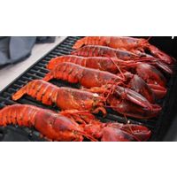 Live Lobster, Frozen Lobster,Live Lobsters, Frozen Lobsters Tail, Contact Now thumbnail image