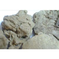 High Quality Moringa Seed Oil Cake Exporters thumbnail image