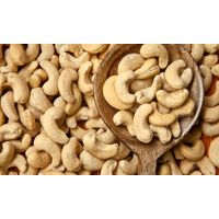 cashew nuts thumbnail image