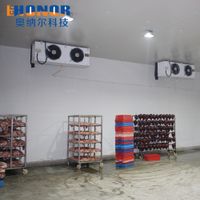 Fruit Vegetable and Meat Cold Storage Room thumbnail image