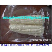 frozen jackfruit/ frozen banana/ frozen corn/ frozen pineapple/ frozen sugarcane/ frozen durian/ fro thumbnail image