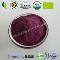 Organic elderberry powder thumbnail image