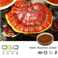 Reishi Mushroom Extract thumbnail image